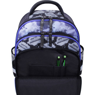 Рюкзак школьный Bagland Mouse 225 синий 507 (0051370)