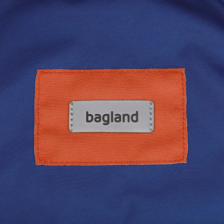 Рюкзак Bagland Stylish L 24 л. электрик (0051869)