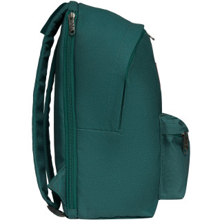 Рюкзак Bagland Stylish L 24 л.