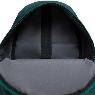 Рюкзак Bagland Stylish L 24 л.